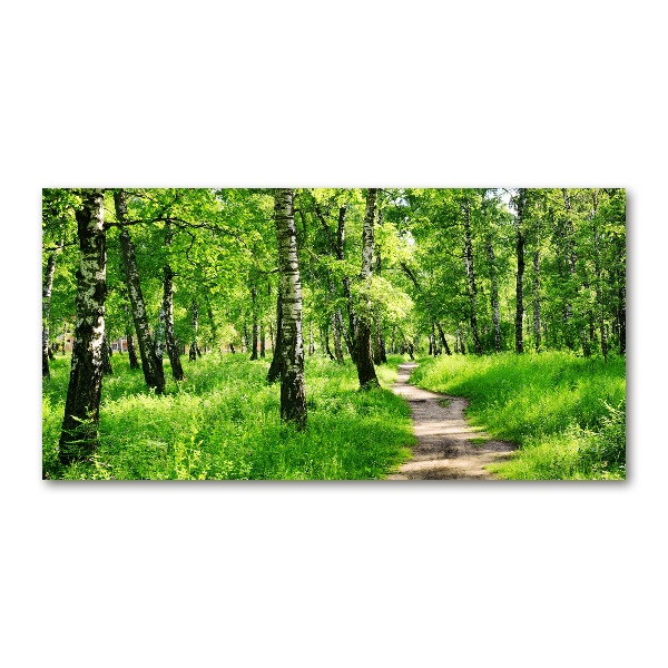 Quadro vetro Foresta di betulle