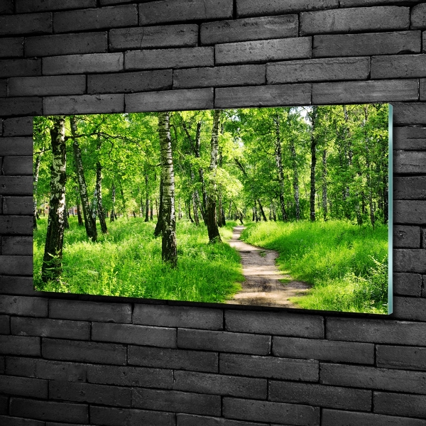 Quadro vetro Foresta di betulle