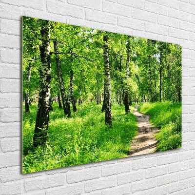 Quadro vetro Foresta di betulle