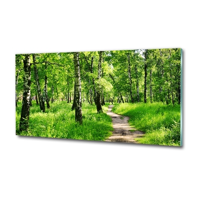 Quadro vetro Foresta di betulle