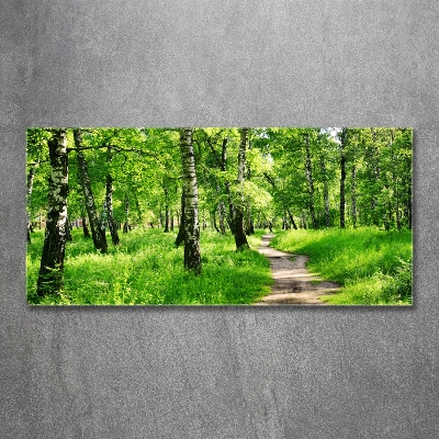 Quadro vetro Foresta di betulle