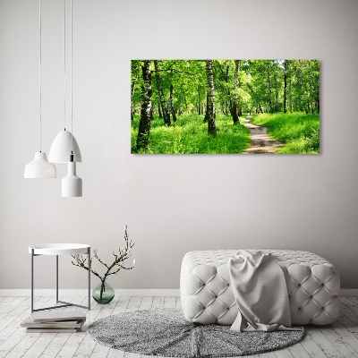 Quadro vetro Foresta di betulle