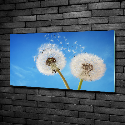 Quadro vetro Denti di leone