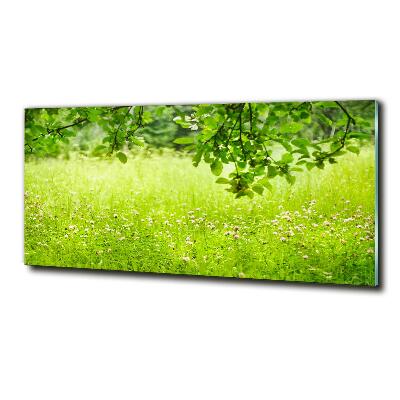 Quadro su vetro Prato verde