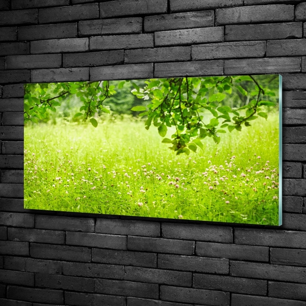 Quadro su vetro Prato verde
