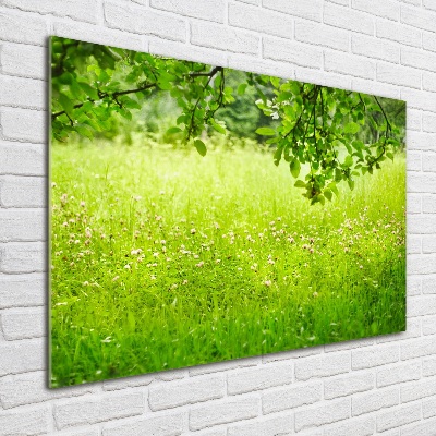 Quadro su vetro Prato verde