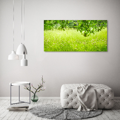Quadro su vetro Prato verde
