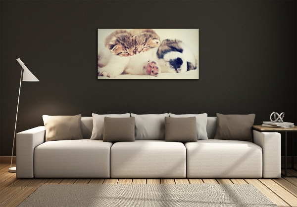 Quadro su vetro Due gatti e un cane