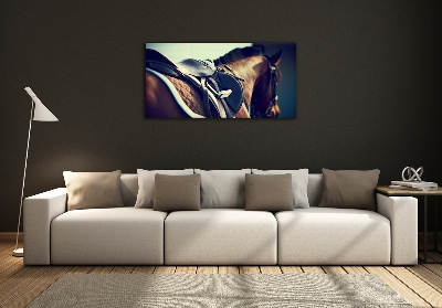 Quadro in vetro Sella con staffe