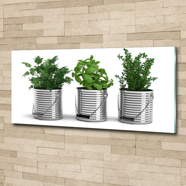 Quadro vetro Piante aromatiche