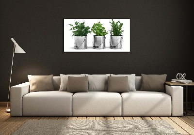 Quadro vetro Piante aromatiche