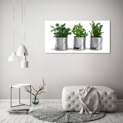 Quadro vetro Piante aromatiche