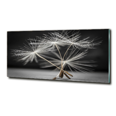 Quadro su vetro Semi di tarassaco
