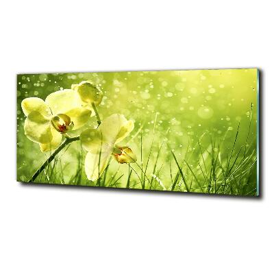 Quadro in vetro Orchidea
