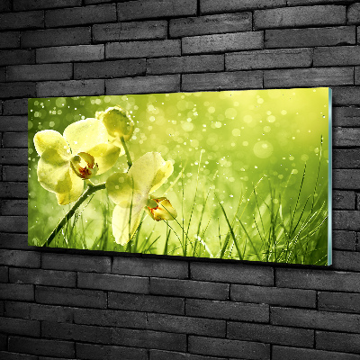 Quadro in vetro Orchidea