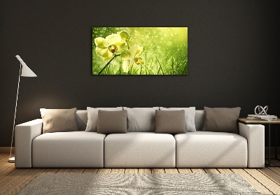 Quadro in vetro Orchidea