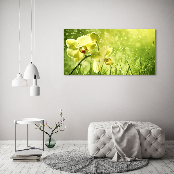 Quadro in vetro Orchidea