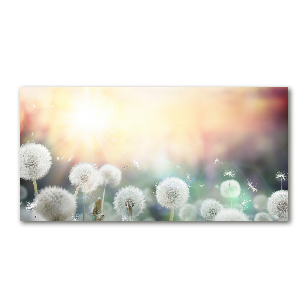 Quadro vetro Campo di tarassaco