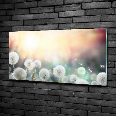 Quadro vetro Campo di tarassaco
