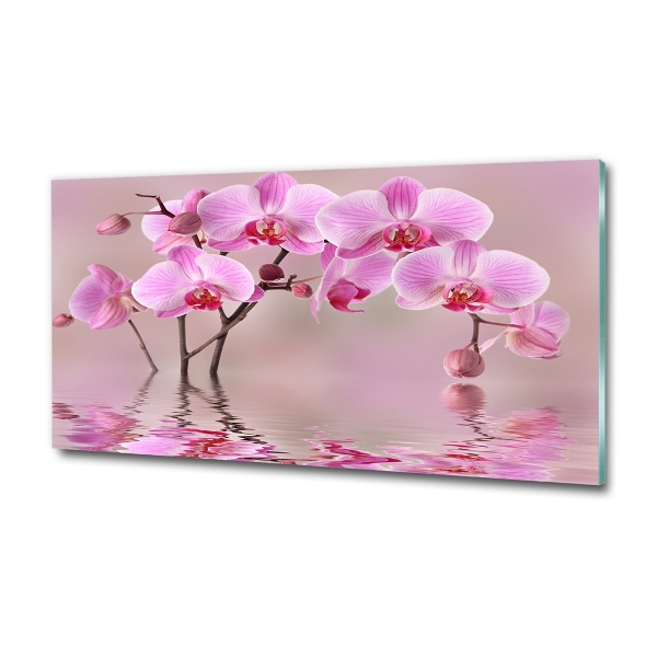 Quadro vetro Orchidea rosa