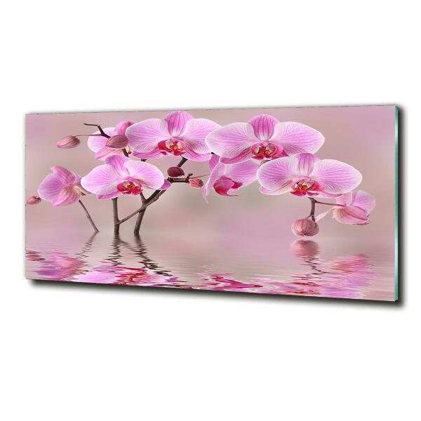 Quadro vetro Orchidea rosa