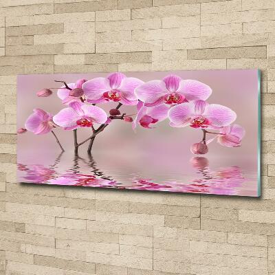 Quadro vetro Orchidea rosa