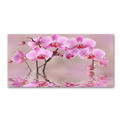 Quadro vetro Orchidea rosa