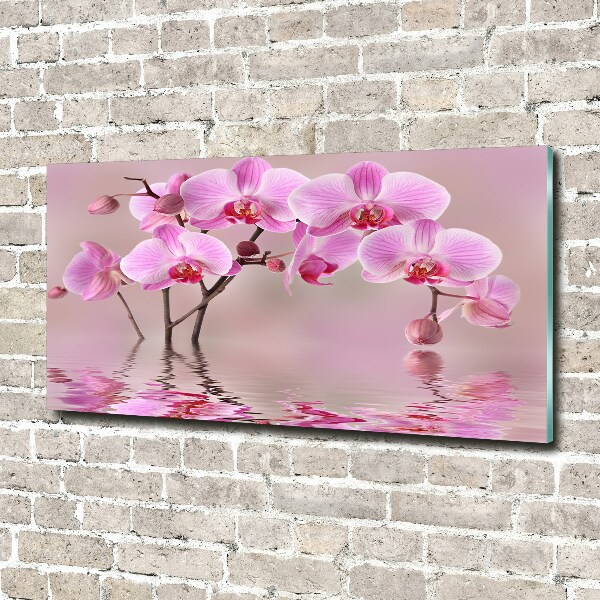Quadro vetro Orchidea rosa
