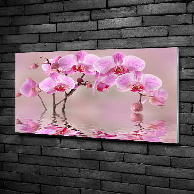 Quadro vetro Orchidea rosa