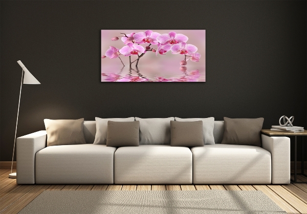 Quadro vetro Orchidea rosa
