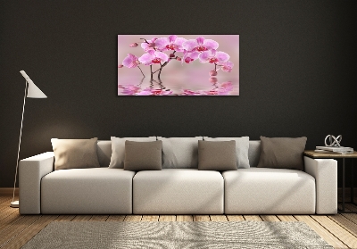 Quadro vetro Orchidea rosa