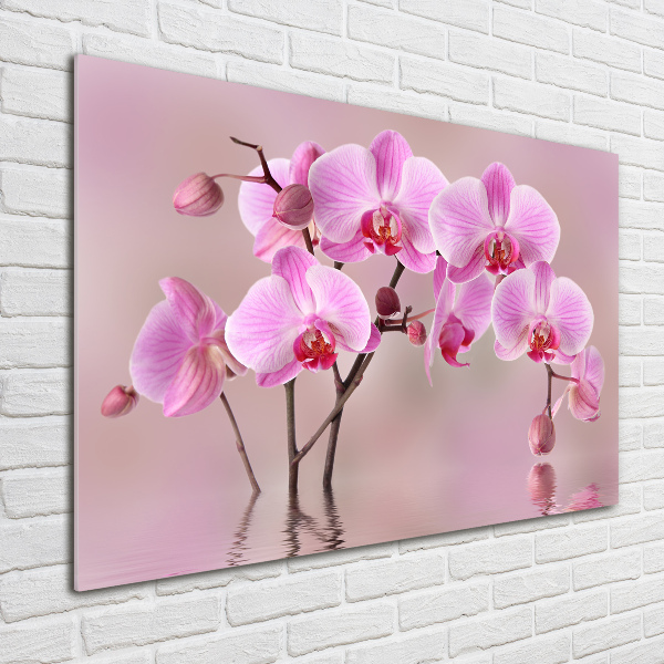 Quadro vetro Orchidea rosa