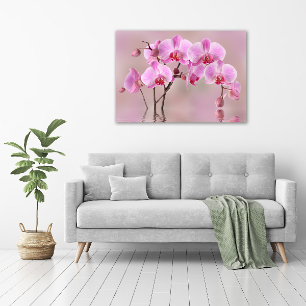 Quadro vetro Orchidea rosa