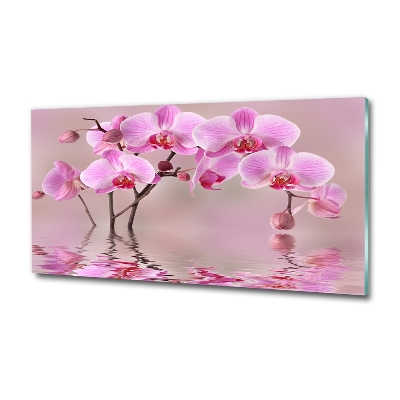 Quadro vetro Orchidea rosa