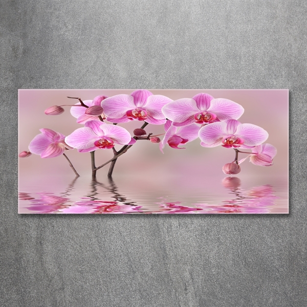 Quadro vetro Orchidea rosa