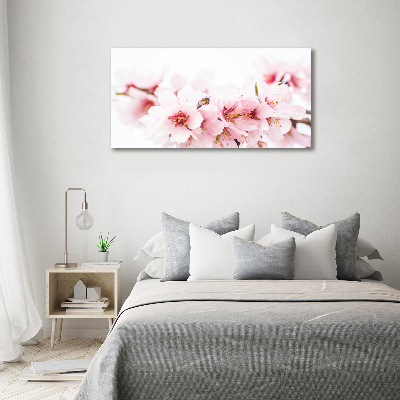 Quadro su vetro Fiori di ciliegio