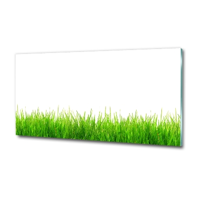 Quadro su vetro Erba