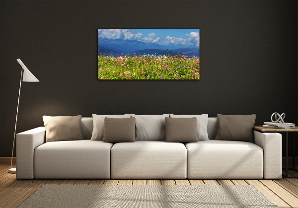 Quadro su vetro Prato in montagna