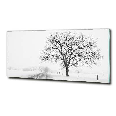 Quadro su vetro Albero in inverno