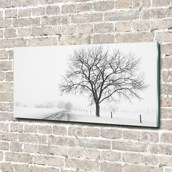 Quadro su vetro Albero in inverno