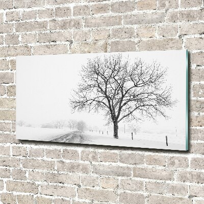 Quadro su vetro Albero in inverno
