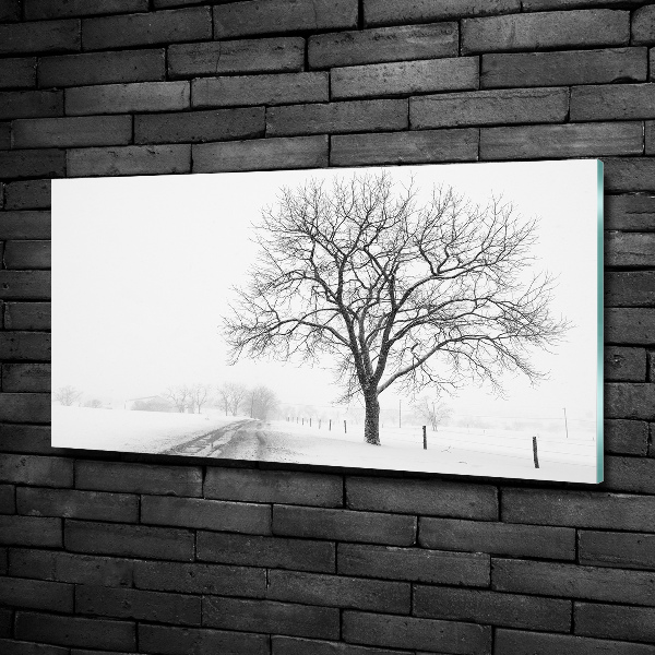Quadro su vetro Albero in inverno