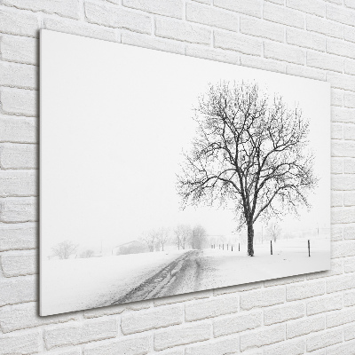 Quadro su vetro Albero in inverno