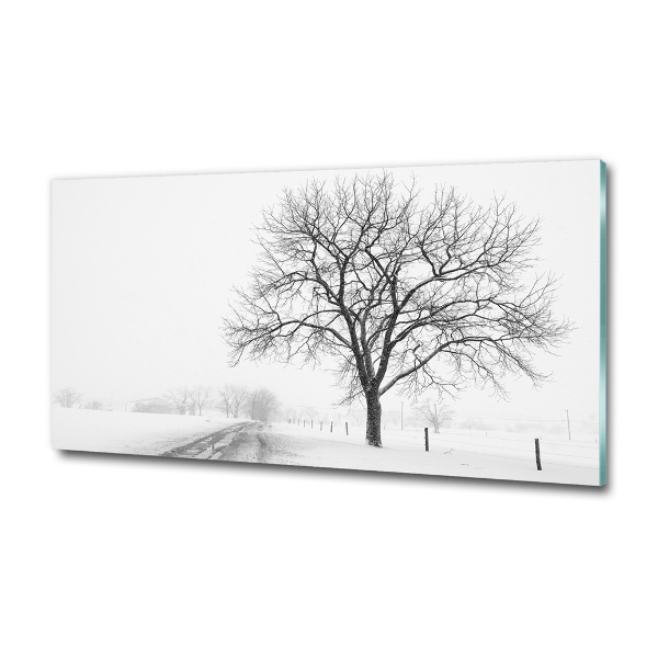 Quadro su vetro Albero in inverno