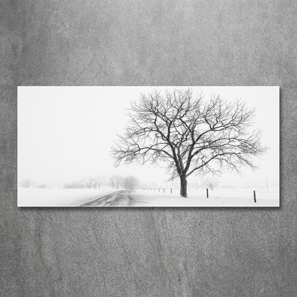 Quadro su vetro Albero in inverno