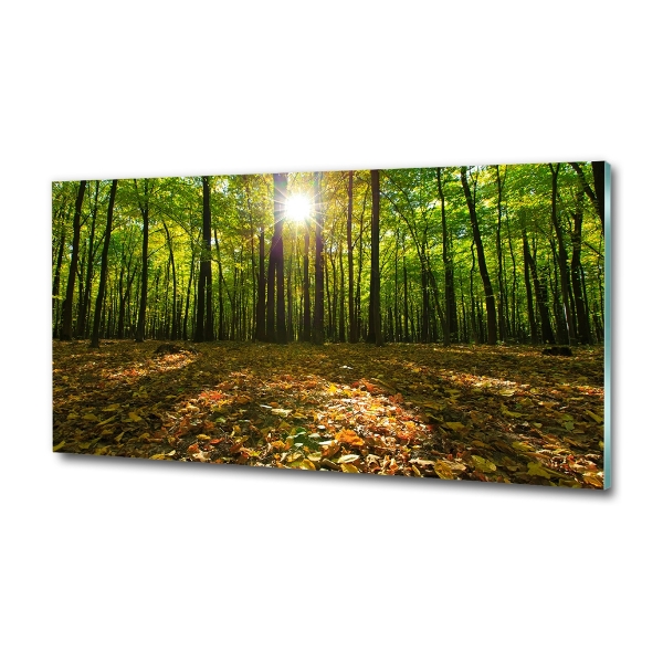 Quadro in verde Foresta