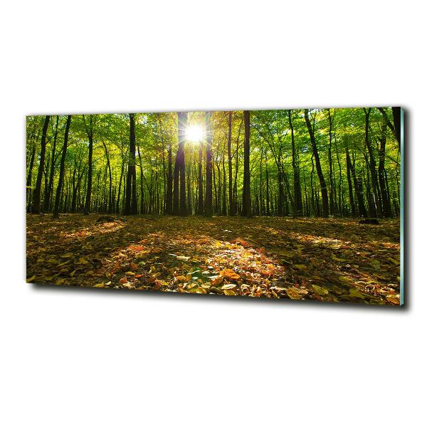 Quadro in verde Foresta