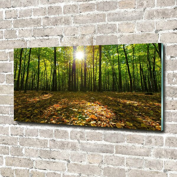 Quadro in verde Foresta