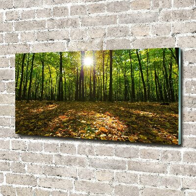 Quadro in verde Foresta