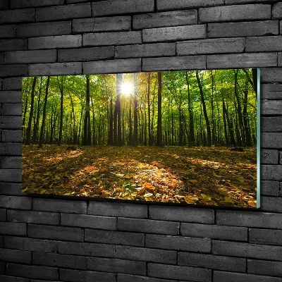 Quadro in verde Foresta
